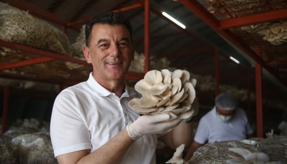 KAPAKLI MANTAR ÜRETEN VE İŞLEYEN ELLER PROJESİ
